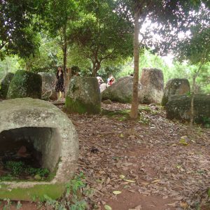 Mysterious expedition